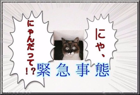WordPressの管理画面のエラー表示が消えません
